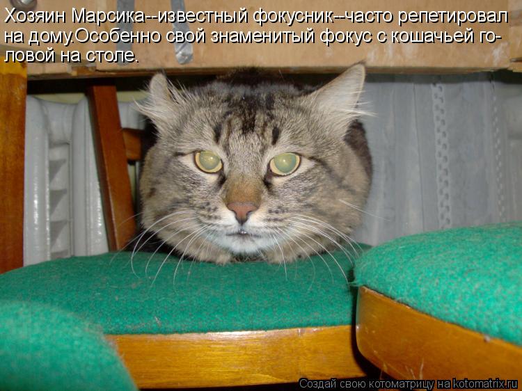 Хозяин Марсика--известный фокусник--часто репетировал на дому.Особенно свой знаменитый фокус с кошачь... Котоматрица: Хозяин Марсика--известный фокусник--часто репетировал на дому.Особенно свой знаменитый фокус с кошачьей го- ловой на столе.