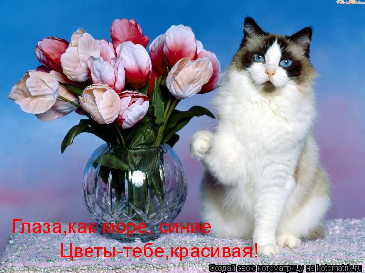 Глаза,как море, синие Цветы-тебе,красивая!... Котоматрица: Глаза,как море, синие Цветы-тебе,красивая!