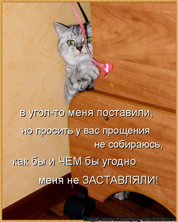 в угол-то меня поставили, но просить у вас прощения не собираюсь, как бы и ЧЕМ бы угодно меня не ЗАС... Котоматрица: в угол-то меня поставили, но просить у вас прощения не собираюсь, как бы и ЧЕМ бы угодно меня не ЗАСТАВЛЯЛИ!