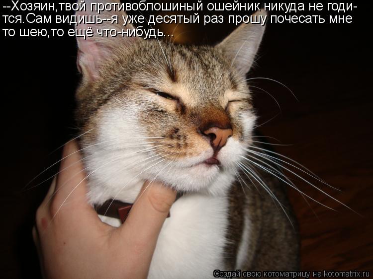 --Хозяин,твой противоблошиный ошейник никуда не годи- тся.Сам видишь--я уже десятый раз прошу почесат... Котоматрица: --Хозяин,твой противоблошиный ошейник никуда не годи- тся.Сам видишь--я уже десятый раз прошу почесать мне то шею,то ещё что-нибудь...