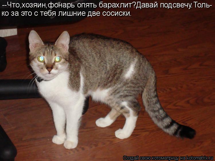 --Что,хозяин,фонарь опять барахлит?Давай подсвечу.Толь- ко за это с тебя лишние две сосиски.... Котоматрица: --Что,хозяин,фонарь опять барахлит?Давай подсвечу.Толь- ко за это с тебя лишние две сосиски.