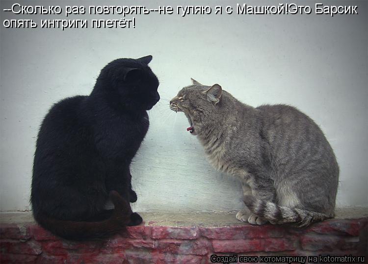 --Сколько раз повторять--не гуляю я с Машкой!Это Барсик опять интриги плетёт!... Котоматрица: --Сколько раз повторять--не гуляю я с Машкой!Это Барсик опять интриги плетёт!