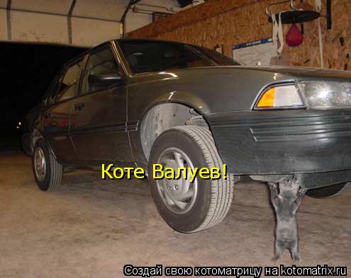 Коте Валуев!... Котоматрица: Коте Валуев!