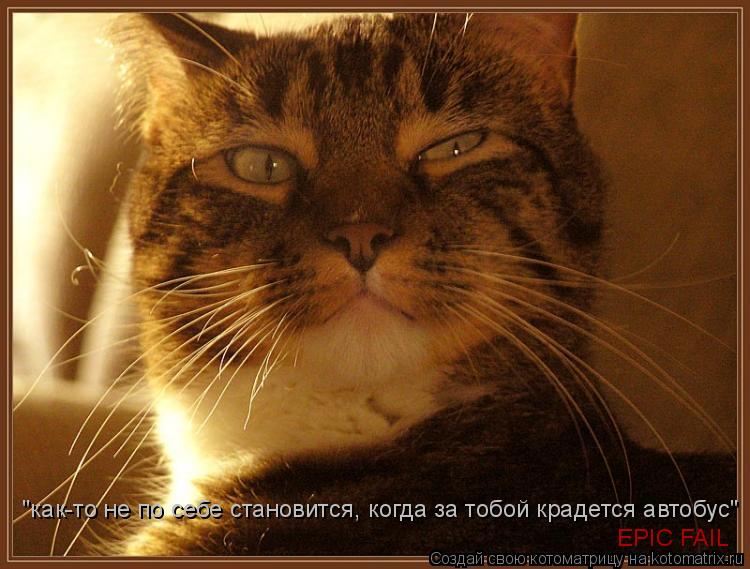 "как-то не по себе становится, когда за тобой крадется автобус" EPIC FAIL... Котоматрица: "как-то не по себе становится, когда за тобой крадется автобус" EPIC FAIL