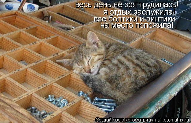 Котоматрица: весь день не зря трудилась! я отдых заслужила! все болтики и винтики на место положила!
