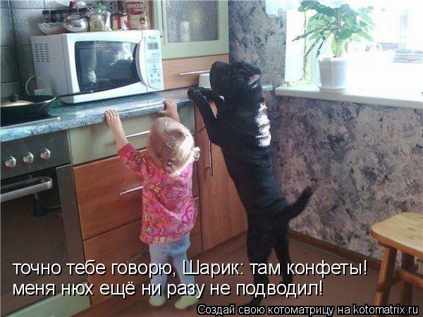 точно тебе говорю, Шарик: там конфеты! меня нюх ещё ни разу не подводил!... Котоматрица: точно тебе говорю, Шарик: там конфеты! меня нюх ещё ни разу не подводил!