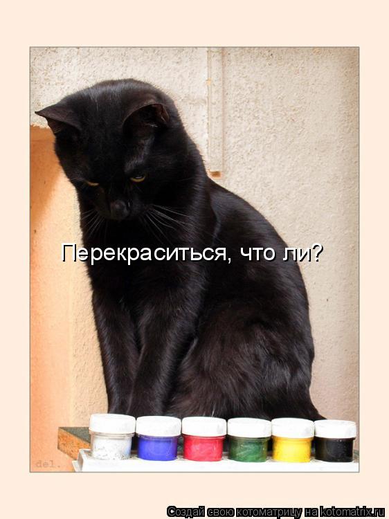 Перекраситься, что ли?... Котоматрица: Перекраситься, что ли?