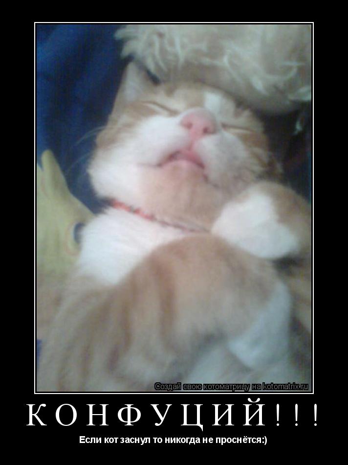 КОНФУЦИЙ!!! Если кот заснул то никогда не проснётся:)... Котоматрица: КОНФУЦИЙ!!! Если кот заснул то никогда не проснётся:)