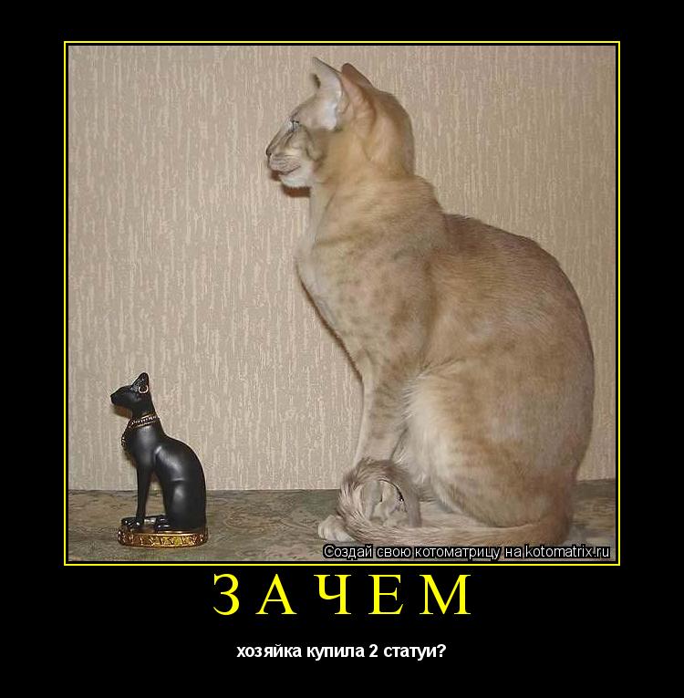 Зачем хозяйка купила 2 статуи?... Котоматрица: Зачем хозяйка купила 2 статуи?