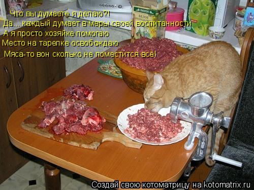 Что вы думаете я делаю?! Да....каждый думает в меры своей воспитанности А я просто хозяйке помогаю Ме... Котоматрица: Что вы думаете я делаю?! Да....каждый думает в меры своей воспитанности А я просто хозяйке помогаю Место на тарелке освобождаю Мяса-то вон ско