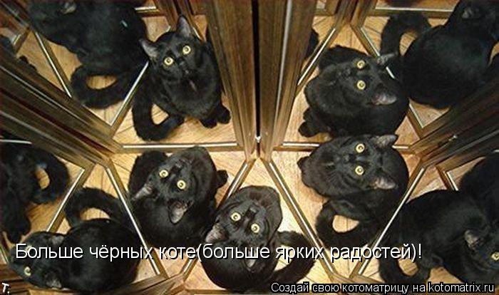 Больше чёрных коте(больше ярких радостей)!... Котоматрица: Больше чёрных коте(больше ярких радостей)!