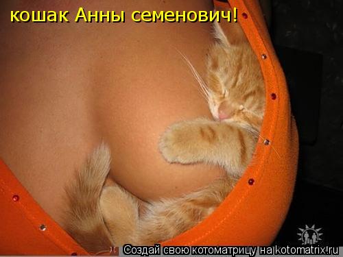 кошак Анны семенович!... Котоматрица: кошак Анны семенович!