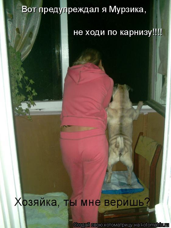 Вот предупреждал я Мурзика, не ходи по карнизу!!!! Хозяйка, ты мне веришь?... Котоматрица: Вот предупреждал я Мурзика, не ходи по карнизу!!!! Хозяйка, ты мне веришь?