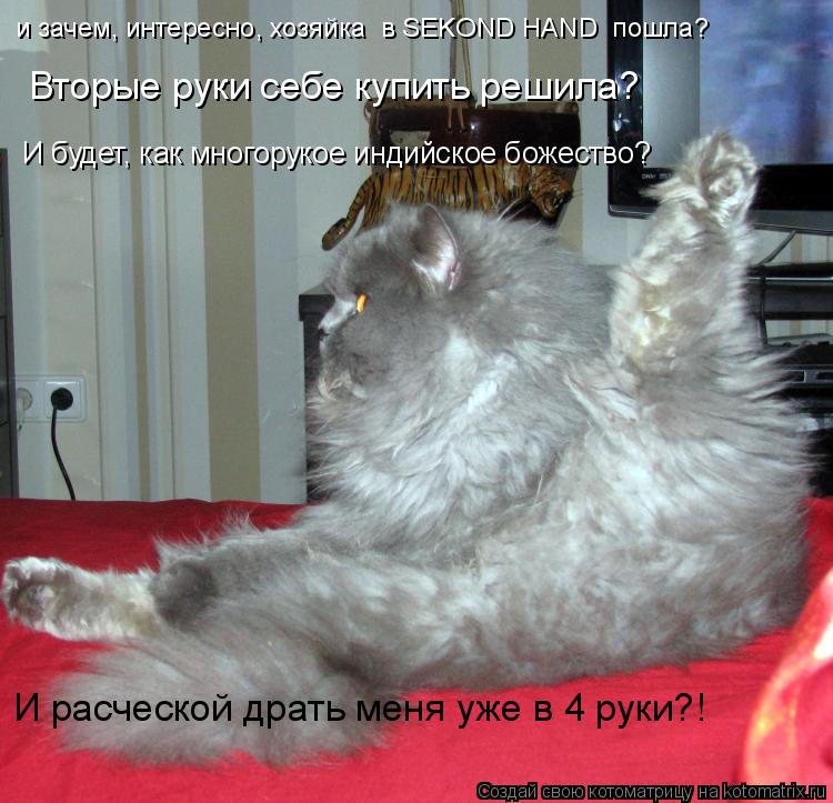 и зачем, интересно, хозяйка в SEKOND HAND пошла? Вторые руки себе купить решила? И будет, как много... Котоматрица: и зачем, интересно, хозяйка в SEKOND HAND пошла? Вторые руки себе купить решила? И будет, как многорукое индийское божество? И расческой драть ме