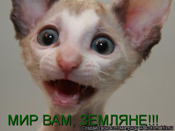 МИР ВАМ, ЗЕМЛЯНЕ!!!... Котоматрица: МИР ВАМ, ЗЕМЛЯНЕ!!!