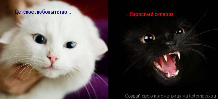 Детское любопытство ... ...Взрослый склероз... Котоматрица: Детское любопытство ... ...Взрослый склероз