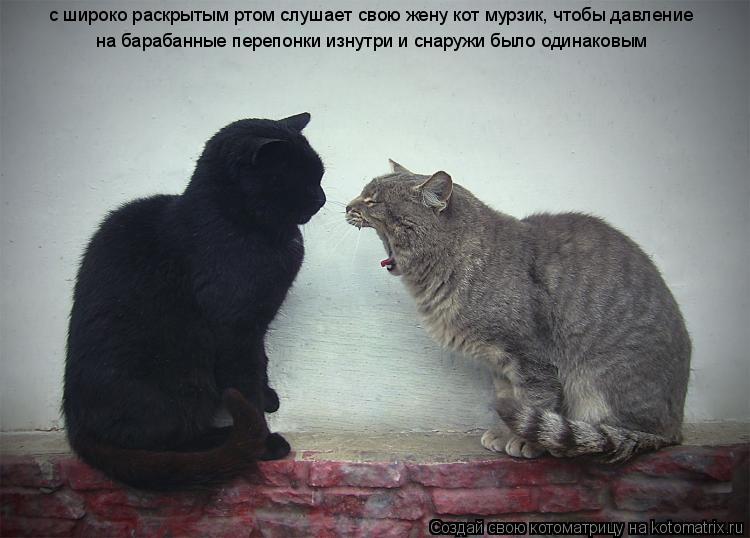 с широко раскрытым ртом слушает свою жену кот мурзик, чтобы давление на барабанные перепонки изнутри ... Котоматрица: с широко раскрытым ртом слушает свою жену кот мурзик, чтобы давление на барабанные перепонки изнутри и снаружи было одинаковым