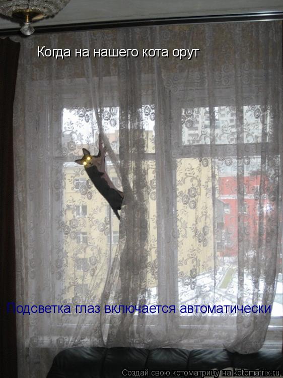 Когда на нашего кота орут Подсветка глаз включается автоматически... Котоматрица: Когда на нашего кота орут Подсветка глаз включается автоматически