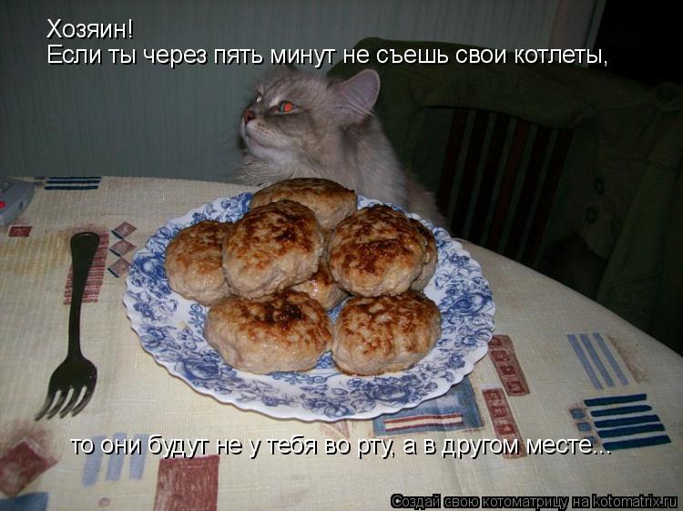Хозяин! Если ты через пять минут не съешь свои котлеты, то они будут не у тебя во рту, а в другом мес... Котоматрица: Хозяин! Если ты через пять минут не съешь свои котлеты, то они будут не у тебя во рту, а в другом месте...