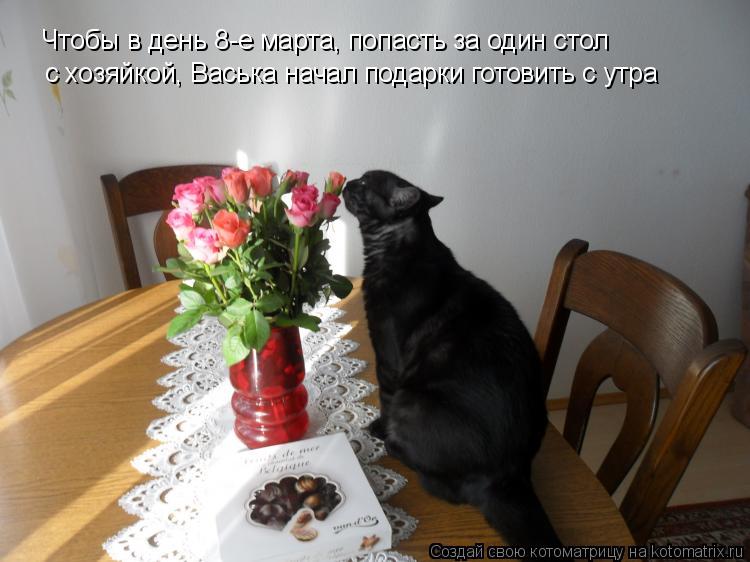 Чтобы в день 8-е марта, попасть за один стол с хозяйкой, Васька начал подарки готовить с утра... Котоматрица: Чтобы в день 8-е марта, попасть за один стол с хозяйкой, Васька начал подарки готовить с утра