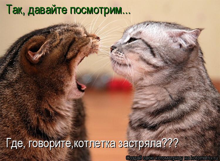 Так, давайте посмотрим... Где, говорите,котлетка застряла???... Котоматрица: Так, давайте посмотрим... Где, говорите,котлетка застряла???