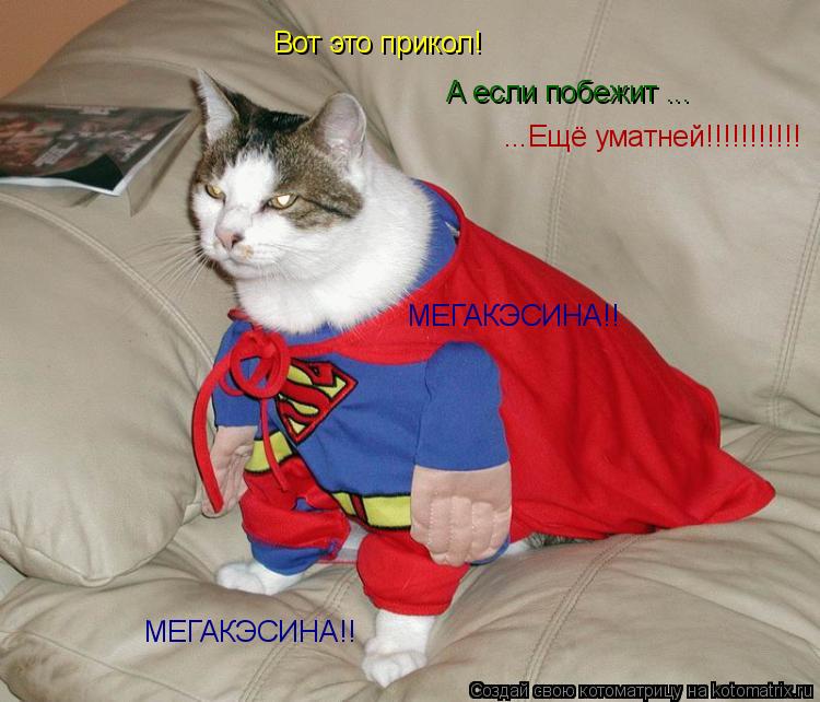 Вот это прикол! А если побежит ... ...Ещё уматней!!!!!!!!!!! МЕГАКЭСИНА!! МЕГАКЭСИНА!!... Котоматрица: Вот это прикол! А если побежит ... ...Ещё уматней!!!!!!!!!!! МЕГАКЭСИНА!! МЕГАКЭСИНА!!
