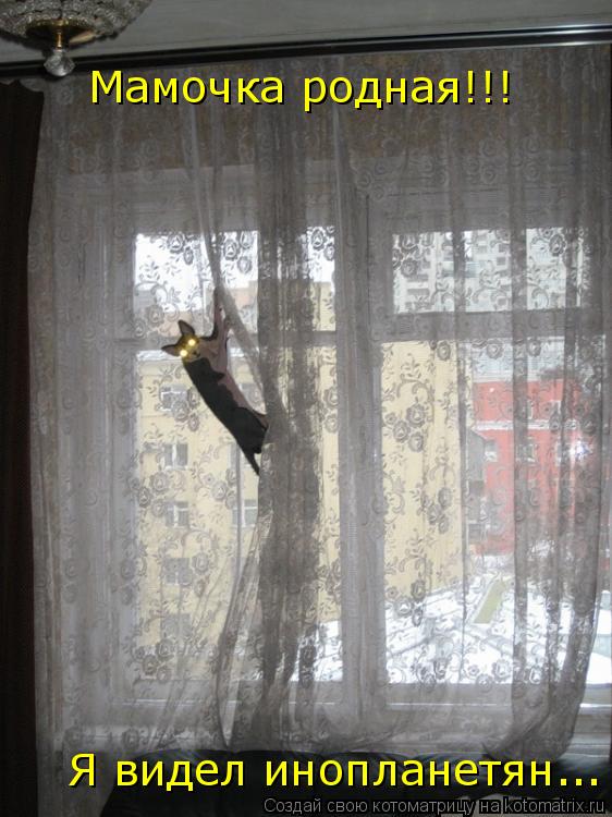Мамочка родная!!! Я видел инопланетян...... Котоматрица: Мамочка родная!!! Я видел инопланетян...