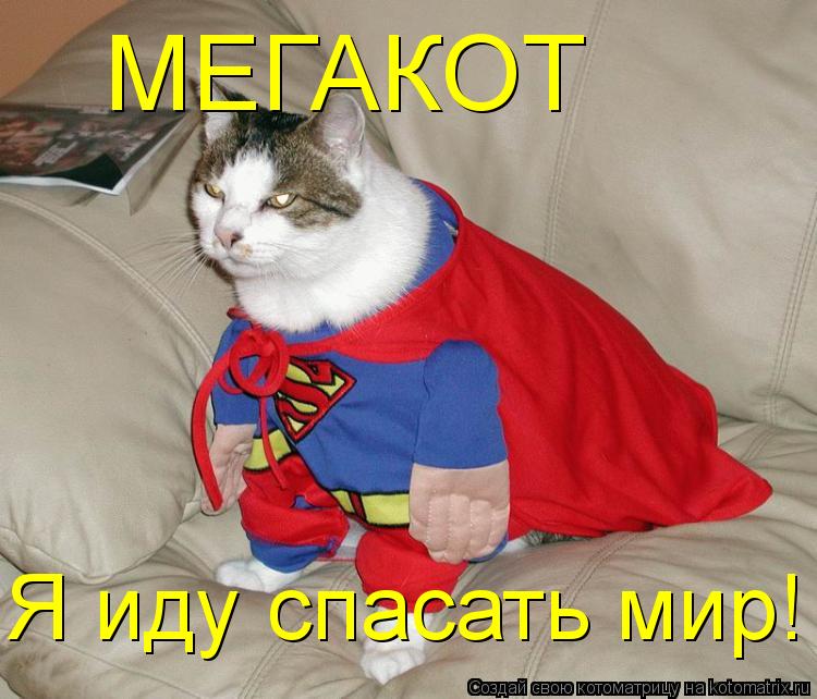 МЕГАКОТ Я иду спасать мир!... Котоматрица: МЕГАКОТ Я иду спасать мир!