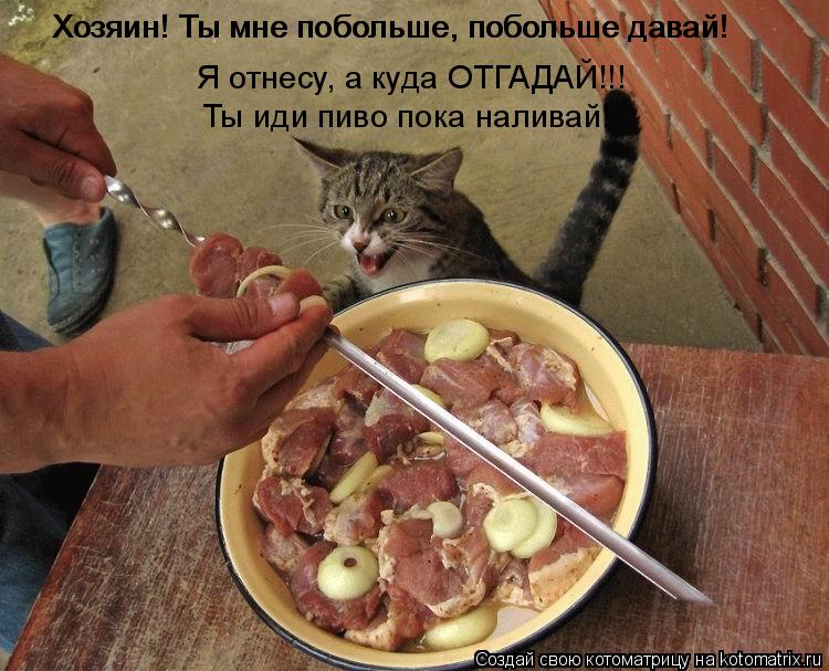 Хозяин! Ты мне побольше, побольше давай! Хозяин! Ты мне побольше, побольше давай! Я отнесу, а куда ... Котоматрица: Хозяин! Ты мне побольше, побольше давай! Хозяин! Ты мне побольше, побольше давай! Я отнесу, а куда ОТГАДАЙ!!! Ты иди пиво пока наливай!