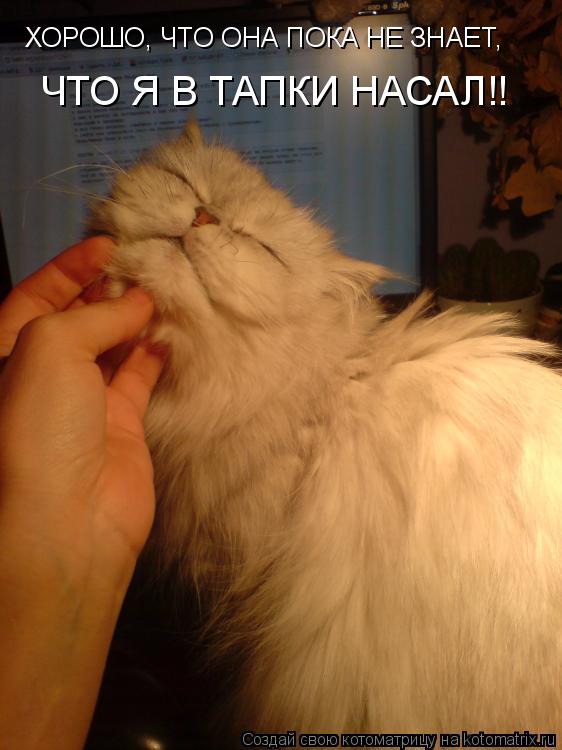 ХОРОШО, ЧТО ОНА ПОКА НЕ ЗНАЕТ, ЧТО Я В ТАПКИ НАСАЛ!!... Котоматрица: ХОРОШО, ЧТО ОНА ПОКА НЕ ЗНАЕТ, ЧТО Я В ТАПКИ НАСАЛ!!