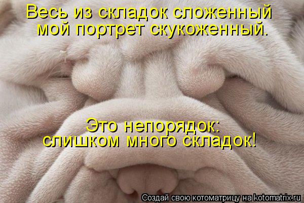 Весь из складок сложенный мой портрет скукоженный. слишком много складок! Это непорядок:... Котоматрица: Весь из складок сложенный мой портрет скукоженный. слишком много складок! Это непорядок: