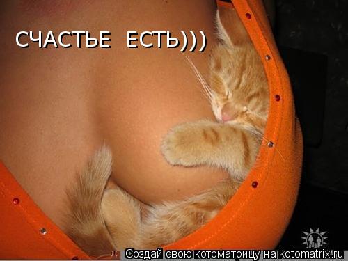 СЧАСТЬЕ ЕСТЬ)))... Котоматрица: СЧАСТЬЕ ЕСТЬ)))