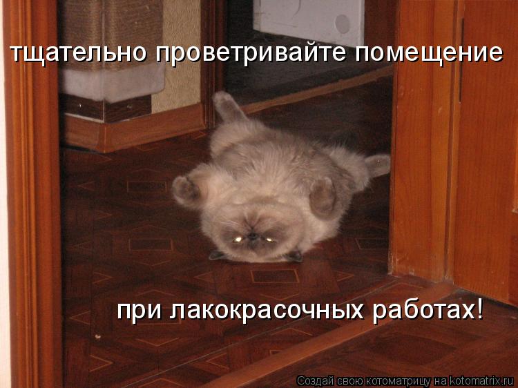 тщательно проветривайте помещение при лакокрасочных работах!... Котоматрица: тщательно проветривайте помещение при лакокрасочных работах!