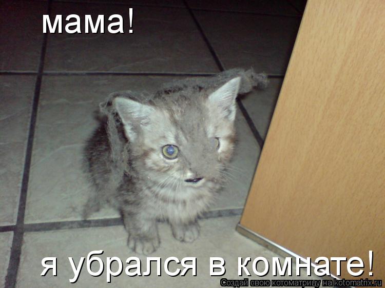 мама! я убрался в комнате!... Котоматрица: мама! я убрался в комнате!
