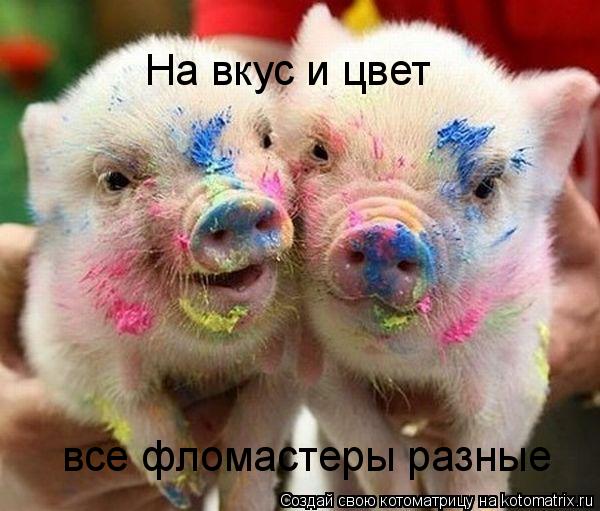 На вкус и цвет все фломастеры разные... Котоматрица: На вкус и цвет все фломастеры разные