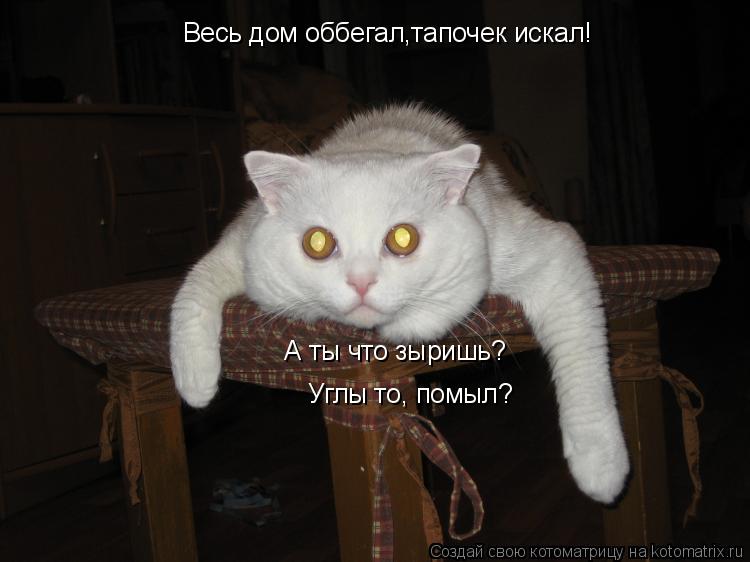 Весь дом оббегал,тапочек искал! А ты что зыришь? Углы то, помыл?... Котоматрица: Весь дом оббегал,тапочек искал! А ты что зыришь? Углы то, помыл?