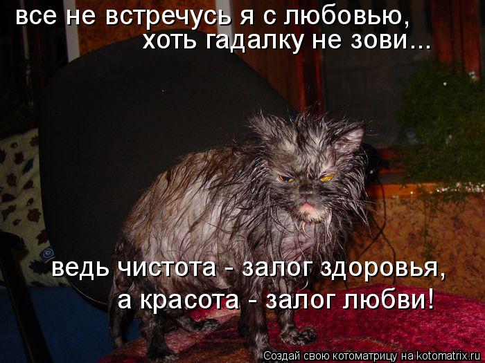все не встречусь я с любовью, хоть гадалку не зови... ведь чистота - залог здоровья, а красота - за... Котоматрица: все не встречусь я с любовью, хоть гадалку не зови... ведь чистота - залог здоровья, а красота - залог любви!