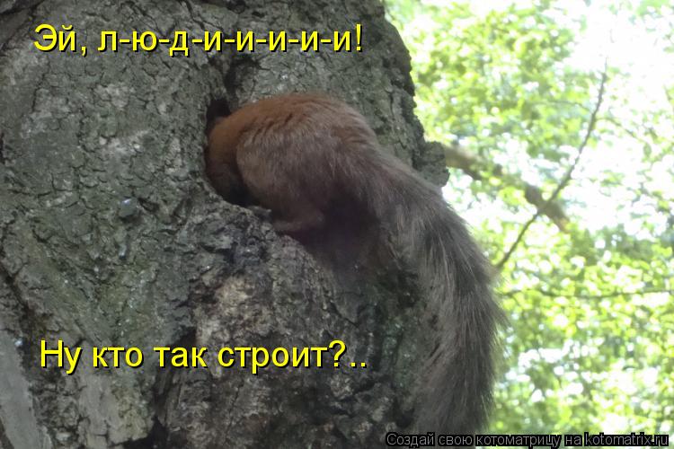 Эй, л-ю-д-и-и-и-и-и! Ну кто так строит?..... Котоматрица: Эй, л-ю-д-и-и-и-и-и! Ну кто так строит?..