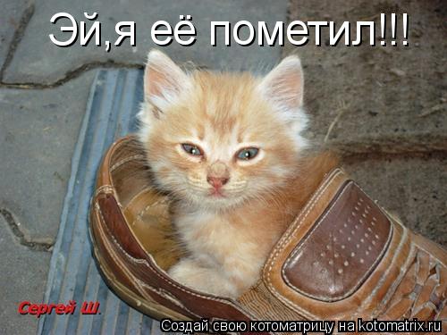 Эй,я её пометил!!!... Котоматрица: Эй,я её пометил!!!