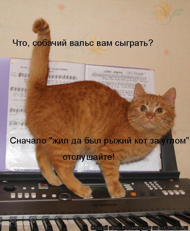 Что, собачий вальс вам сыграть? Сначало "жил да был рыжий кот за углом" отслушайте!... Котоматрица: Что, собачий вальс вам сыграть? Сначало "жил да был рыжий кот за углом" отслушайте!