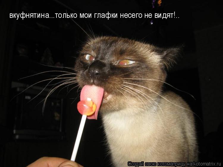 вкуфнятина...только мои глафки несего не видят!..... Котоматрица: вкуфнятина...только мои глафки несего не видят!..
