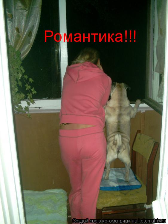 Романтика!!!... Котоматрица: Романтика!!!