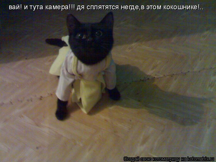 вай! и тута камера!!! дя сплятятся негде,в этом кокошнике!..... Котоматрица: вай! и тута камера!!! дя сплятятся негде,в этом кокошнике!..
