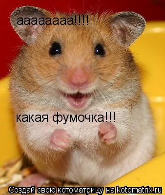 аааааааа!!!! какая фумочка!!!... Котоматрица: аааааааа!!!! какая фумочка!!!