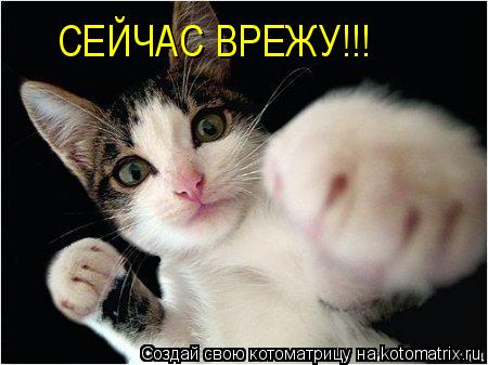 СЕЙЧАС ВРЕЖУ!!!... Котоматрица: СЕЙЧАС ВРЕЖУ!!!
