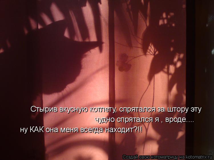 Стырив вкусную котлету, спрятался за штору эту чудно спрятался я , вроде.... ну КАК она меня всегда н... Котоматрица: Стырив вкусную котлету, спрятался за штору эту чудно спрятался я , вроде.... ну КАК она меня всегда находит?!!