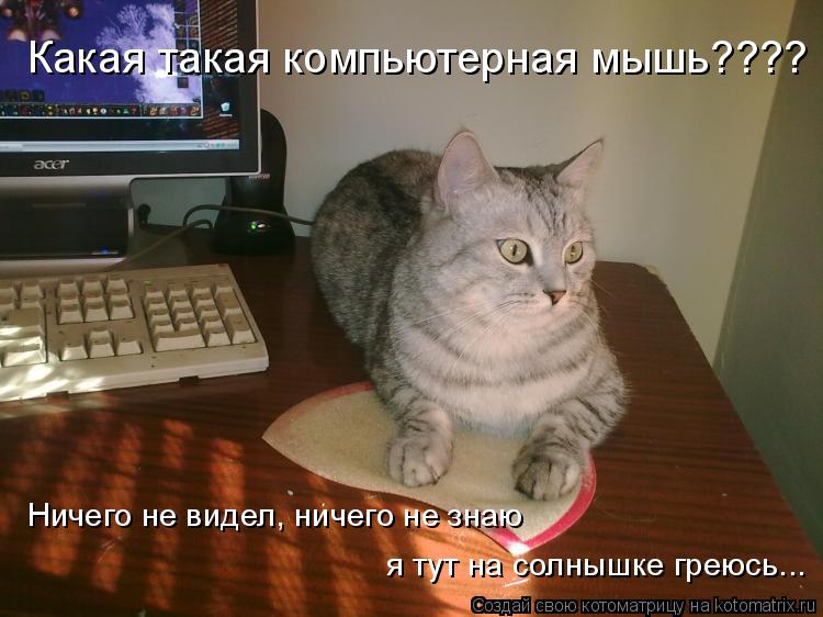 Какая такая компьютерная мышь???? Ничего не видел, ничего не знаю я тут на солнышке греюсь...... Котоматрица: Какая такая компьютерная мышь???? Ничего не видел, ничего не знаю я тут на солнышке греюсь...