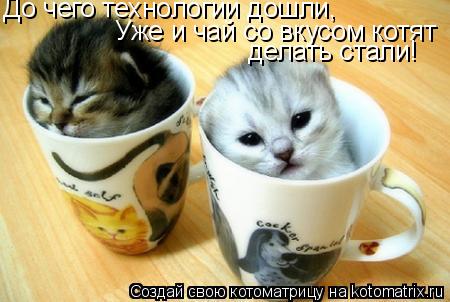 До чего технологии дошли, Уже и чай со вкусом котят делать стали!... Котоматрица: До чего технологии дошли, Уже и чай со вкусом котят делать стали!