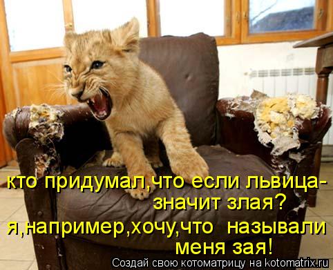 кто придумал,что если львица- значит злая? я,например,хочу,что называли меня зая!... Котоматрица: кто придумал,что если львица- значит злая? я,например,хочу,что называли меня зая!