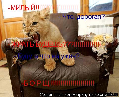 -МИЛЫЙ!!!!!!!!!!!!!!!!!!!!!! - Что, дорогая? - ЖРАТЬ БУДЕШЬ???!!!!!!!!!!!!!! - Буду, а что на ужин... Котоматрица: -МИЛЫЙ!!!!!!!!!!!!!!!!!!!!!! - Что, дорогая? - ЖРАТЬ БУДЕШЬ???!!!!!!!!!!!!!! - Буду, а что на ужин? -Б О Р Щ !!!!!!!!!!!!!!!!!!!!!!